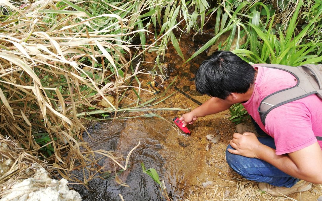 Proyecto: Mejoramiento de Capacidades mediante transferencia tecnológica y comercialización de Gamitana en las socias de la CAMPC