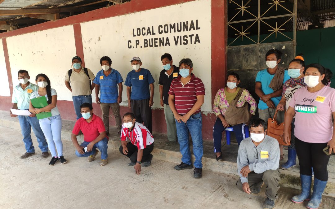 Fortalecimiento de capacidades C.P. Buena Vista