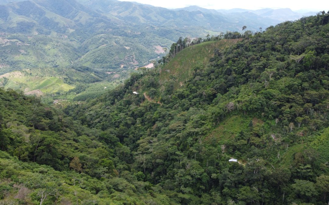 Centro Poblado Meritarini