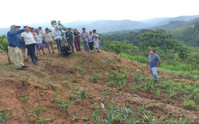 INICIO DE LA INVESTIGACIÓN DEL PROYECTO BOSQUE MODELO PICHANAKI 2021