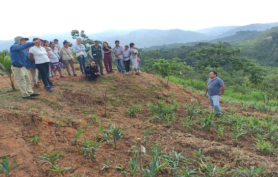 INICIO DE LA INVESTIGACIÓN DEL PROYECTO BOSQUE MODELO PICHANAKI 2021