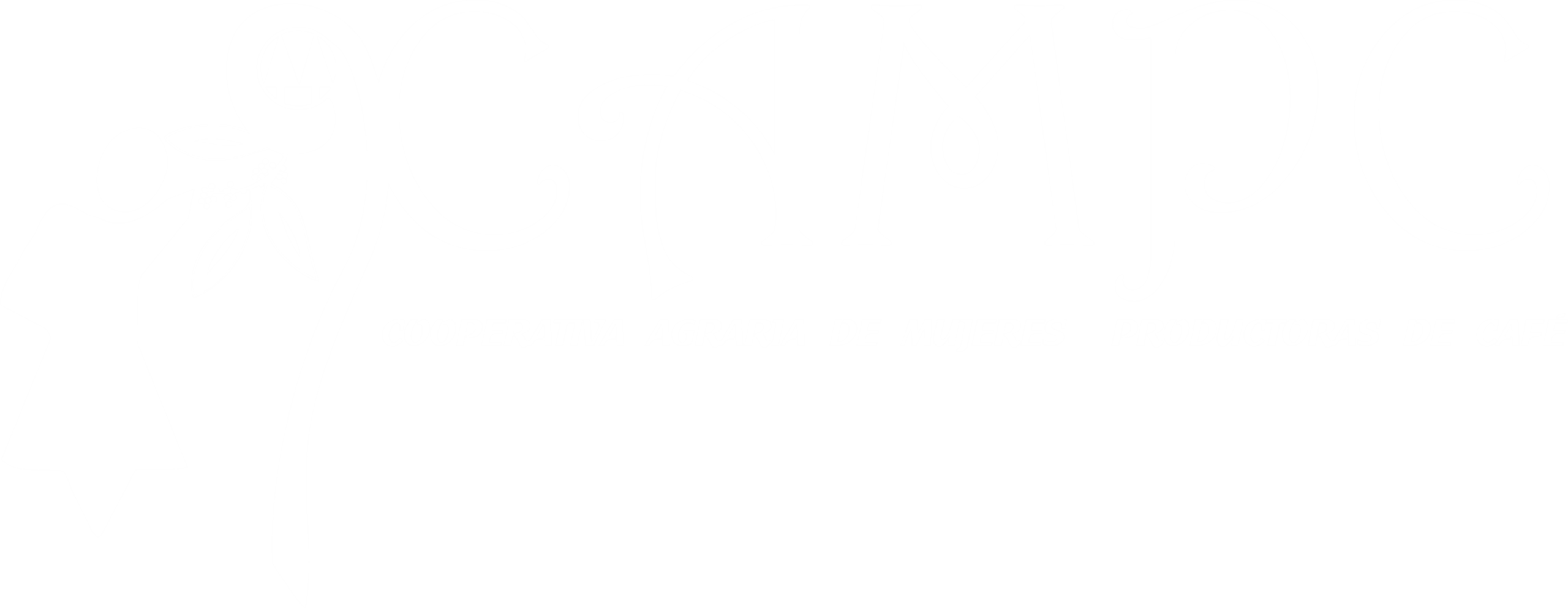 Cooperativa de Mujeres Productoras de Café