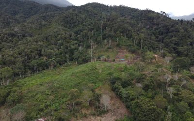 Centro Poblado Ayte